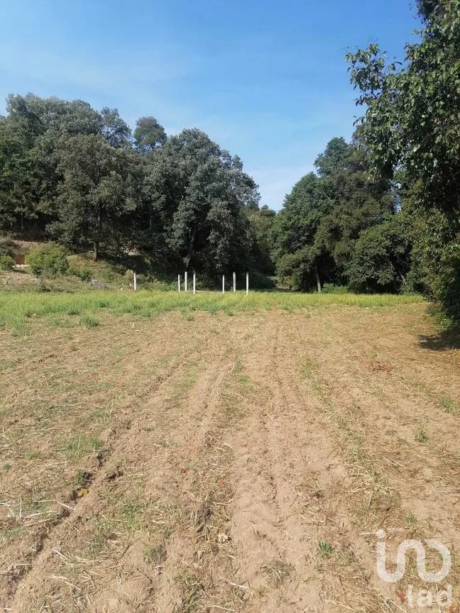 Terreno en Venta en San Bartolo, Amanalco, Estado De México | NEX-227284 | iad México | Foto 3 de 10