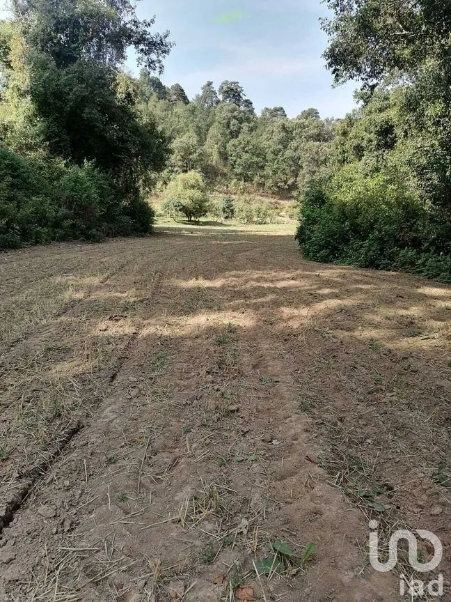 Terreno en Venta en San Bartolo, Amanalco, Estado De México | NEX-227284 | iad México | Foto 4 de 10