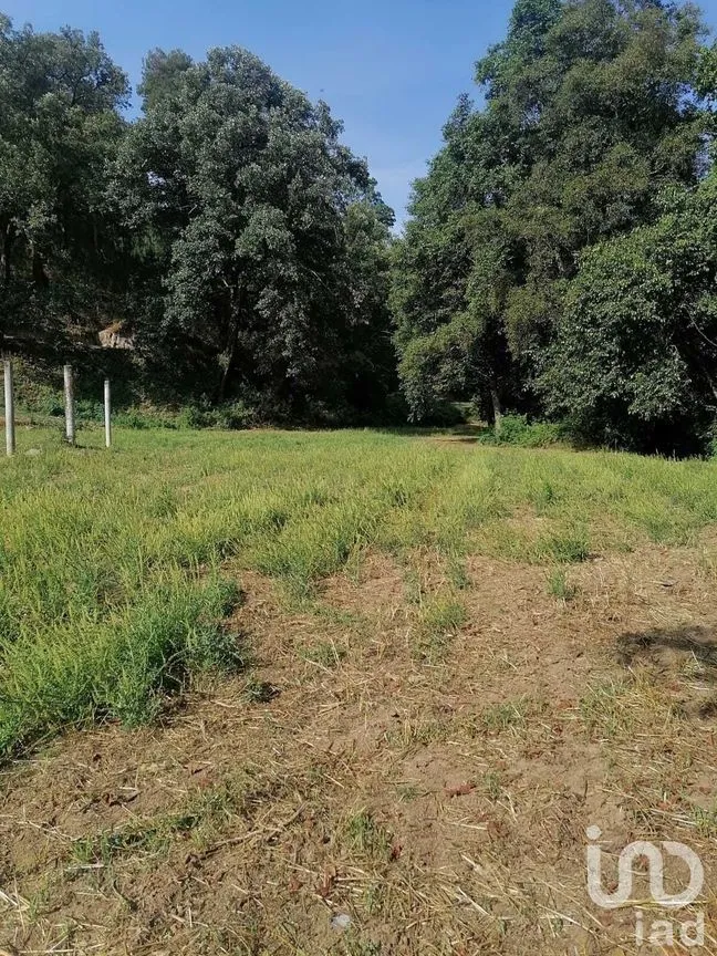 Terreno en Venta en San Bartolo, Amanalco, Estado De México | NEX-227284 | iad México | Foto 5 de 10