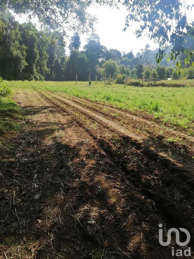 Terreno en Venta en San Bartolo, Amanalco, Estado De México | NEX-227284 | iad México | Foto 6 de 10