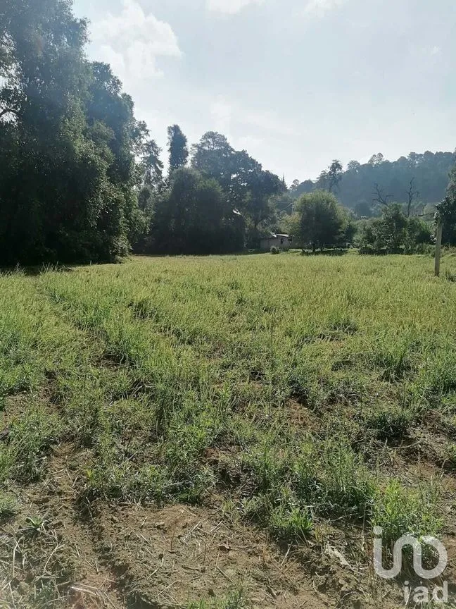 Terreno en Venta en San Bartolo, Amanalco, Estado De México | NEX-227284 | iad México | Foto 7 de 10