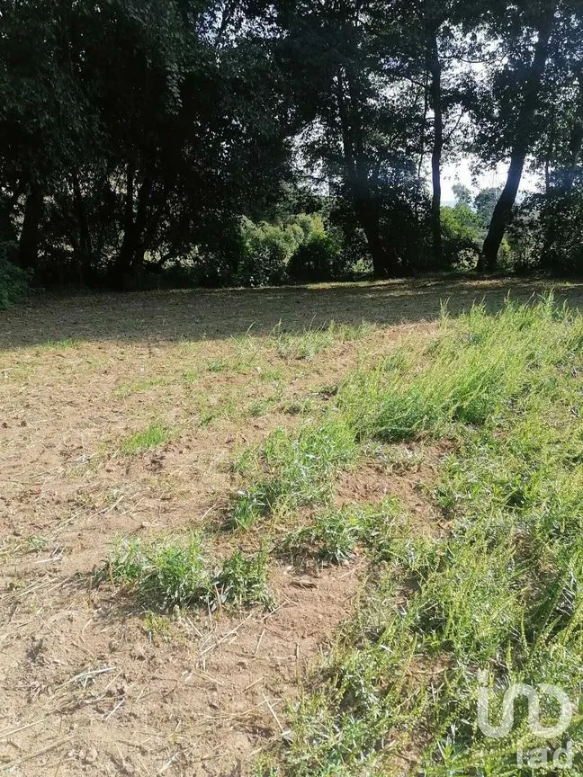 Terreno en Venta en San Bartolo, Amanalco, Estado De México | NEX-227284 | iad México | Foto 9 de 10