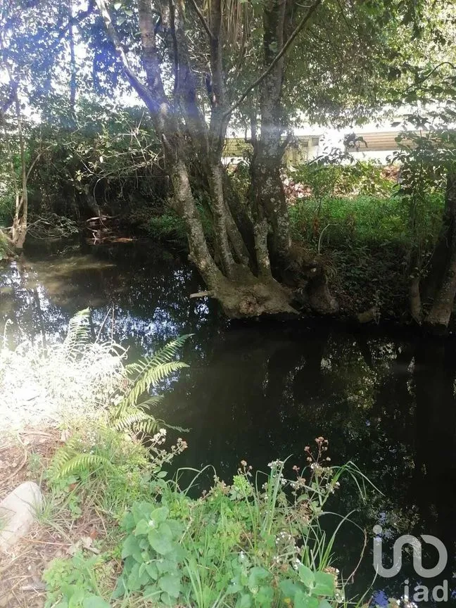 Terreno en Venta en San Bartolo, Amanalco, Estado De México | NEX-227284 | iad México | Foto 10 de 10