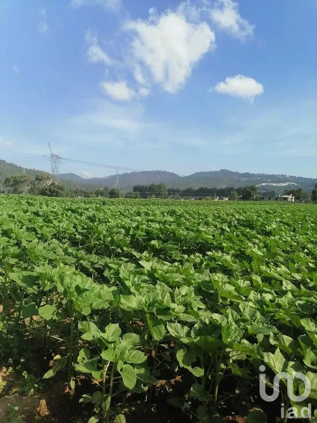 Terreno en Venta en San Bartolo, Amanalco, Estado De México | NEX-227285 | iad México | Foto 2 de 6