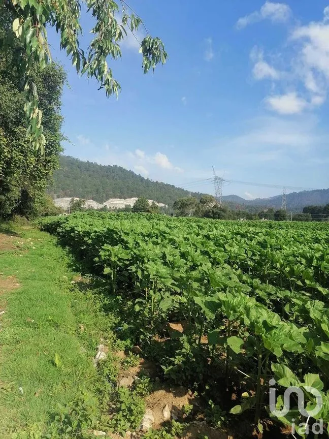 Terreno en Venta en San Bartolo, Amanalco, Estado De México | NEX-227285 | iad México | Foto 3 de 6