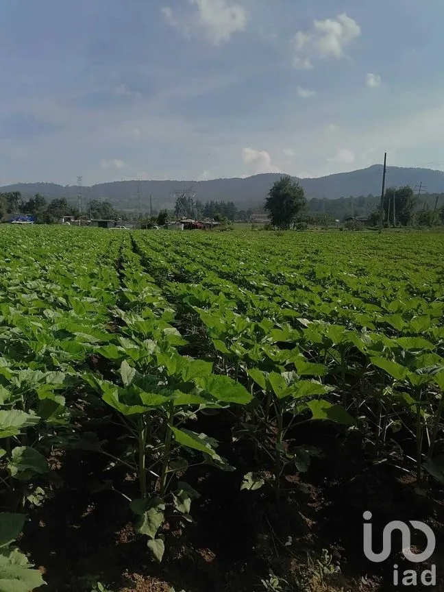 Terreno en Venta en San Bartolo, Amanalco, Estado De México | NEX-227285 | iad México | Foto 4 de 6