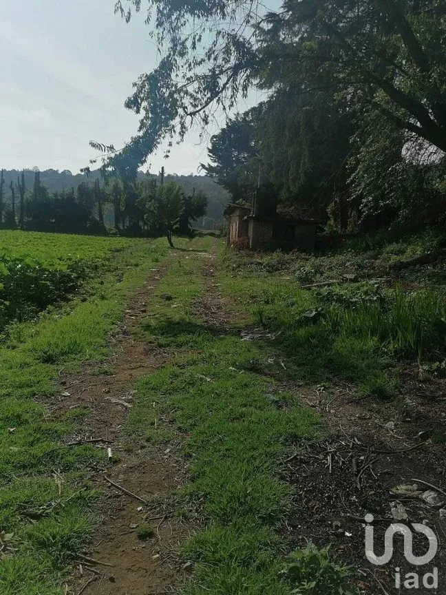 Terreno en Venta en San Bartolo, Amanalco, Estado De México | NEX-227285 | iad México | Foto 5 de 6
