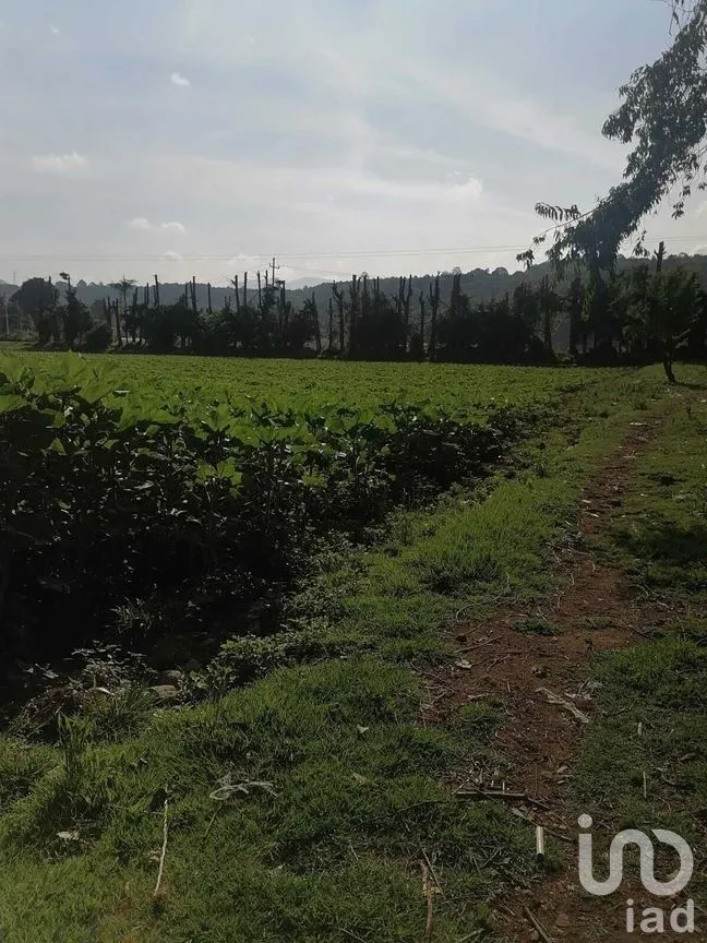 Terreno en Venta en San Bartolo, Amanalco, Estado De México | NEX-227285 | iad México | Foto 6 de 6