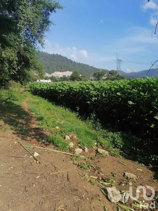 Terreno en Venta en San Bartolo, Amanalco, Estado De México | NEX-227285 | iad México | Foto 1 de 6