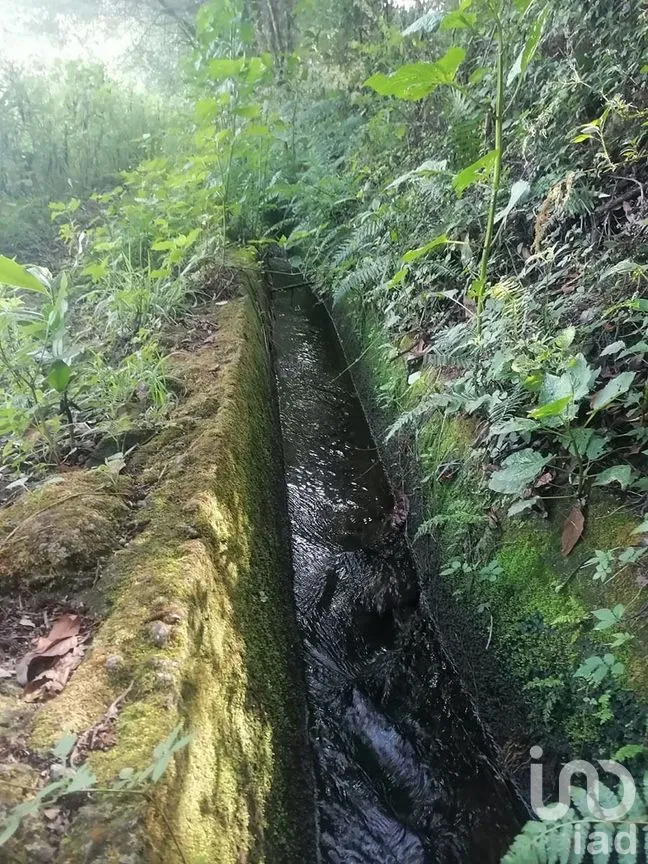 Terreno en Venta en San Bartolo, Amanalco, Estado De México | NEX-227286 | iad México | Foto 2 de 21
