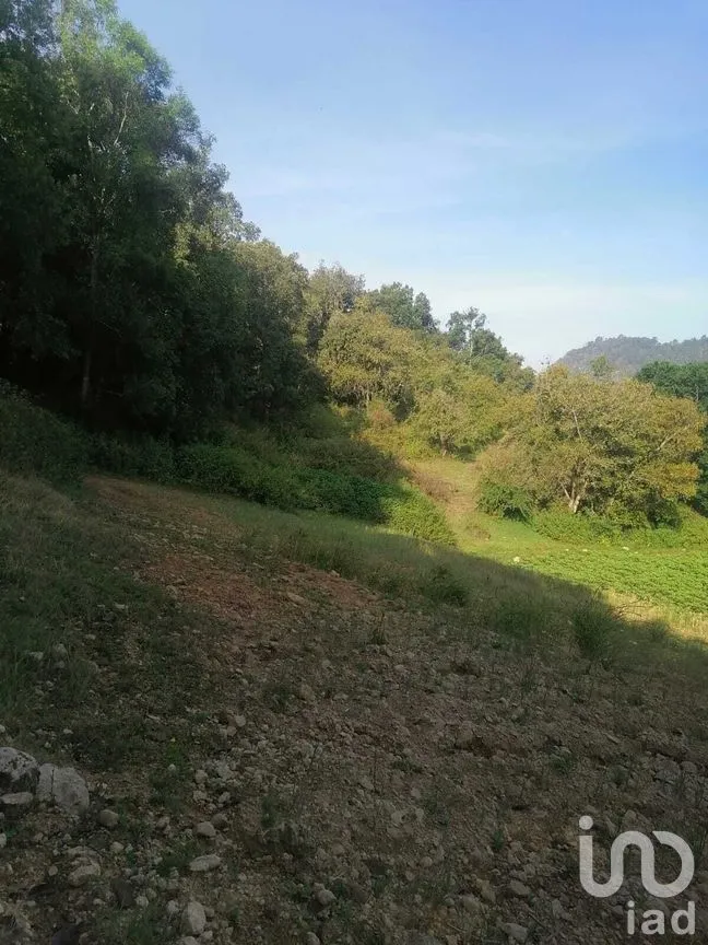 Terreno en Venta en San Bartolo, Amanalco, Estado De México | NEX-227286 | iad México | Foto 11 de 21