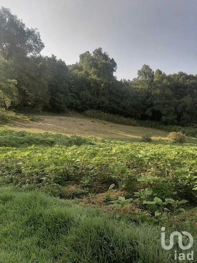 Terreno en Venta en San Bartolo, Amanalco, Estado De México | NEX-227286 | iad México | Foto 13 de 21