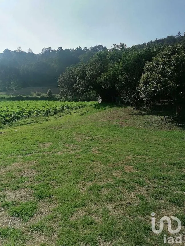 Terreno en Venta en San Bartolo, Amanalco, Estado De México | NEX-227286 | iad México | Foto 15 de 21