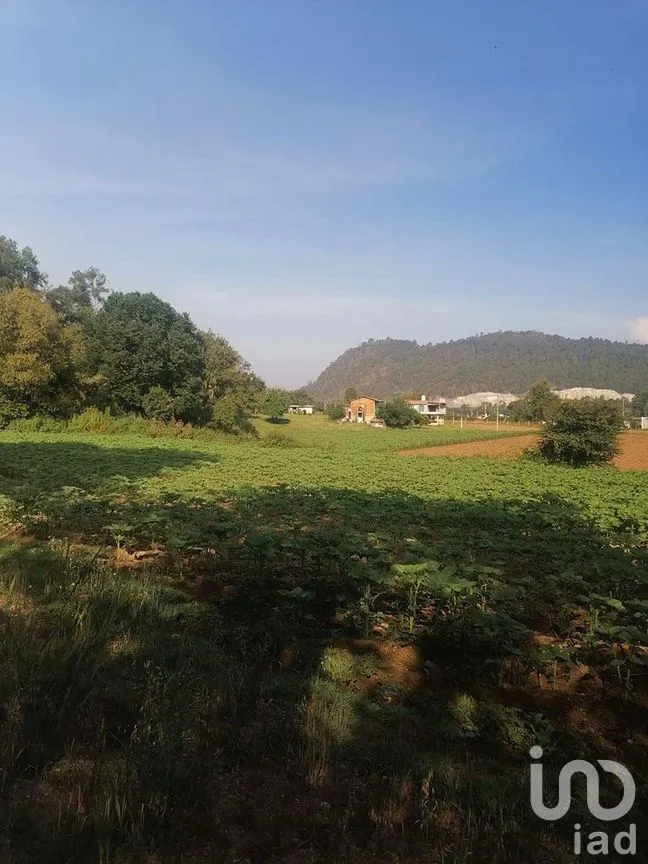 Terreno en Venta en San Bartolo, Amanalco, Estado De México | NEX-227286 | iad México | Foto 4 de 21