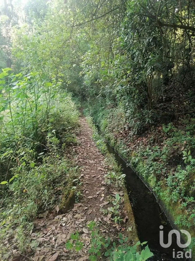 Terreno en Venta en San Bartolo, Amanalco, Estado De México | NEX-227286 | iad México | Foto 6 de 21