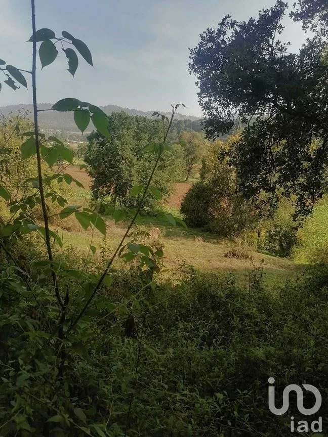 Terreno en Venta en San Bartolo, Amanalco, Estado De México | NEX-227286 | iad México | Foto 9 de 21