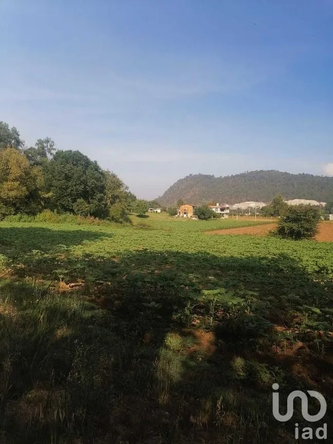Terreno en Venta en San Bartolo, Amanalco, Estado De México | NEX-227286 | iad México | Foto 10 de 21