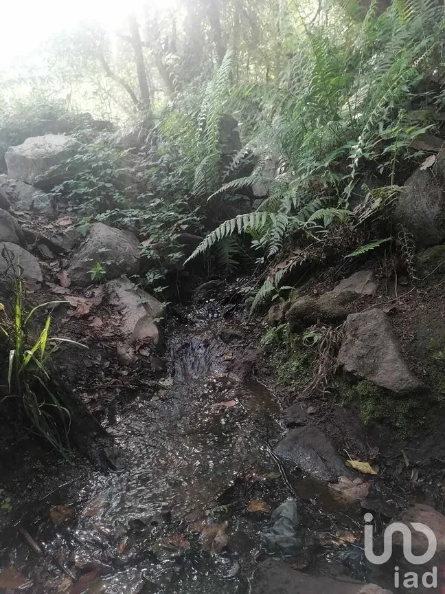 Terreno en Venta en San Bartolo, Amanalco, Estado De México | NEX-227286 | iad México | Foto 1 de 21