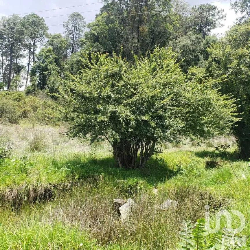Terreno en Venta en Mesa Rica, Valle de Bravo, Estado De México | NEX-227287 | iad México | Foto 11 de 12