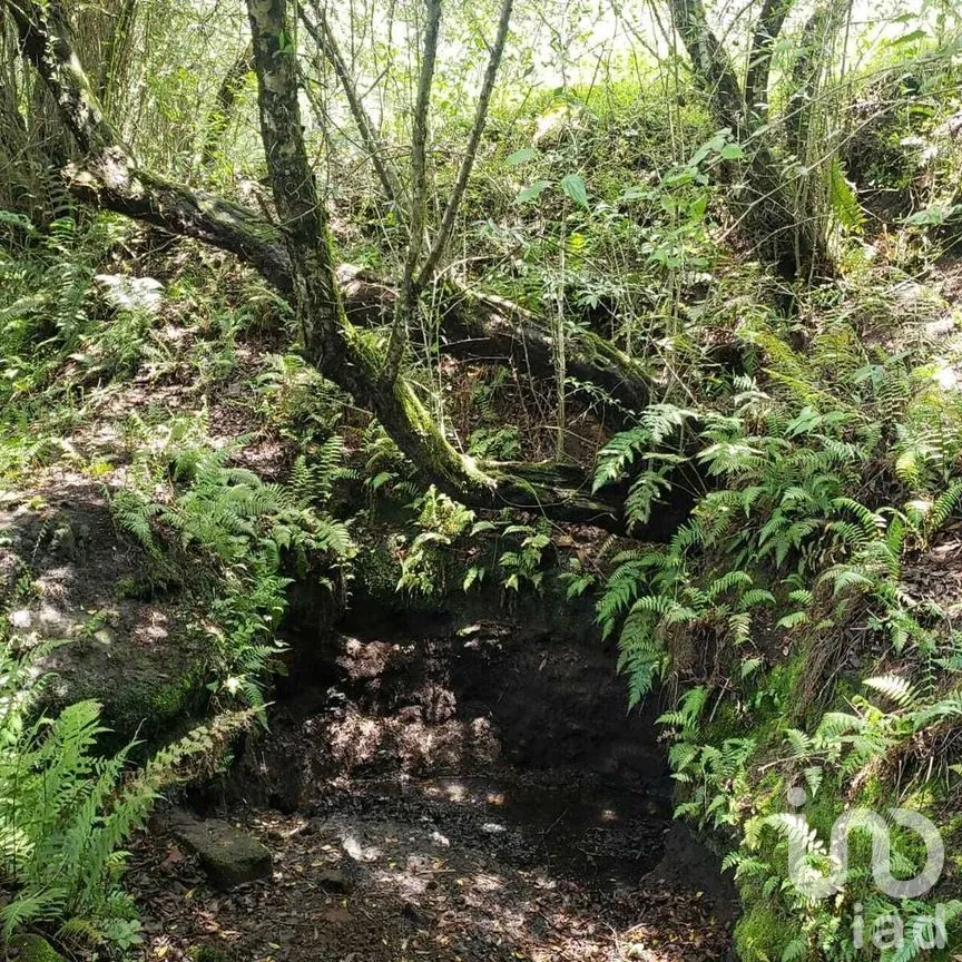 Terreno en Venta en Mesa Rica, Valle de Bravo, Estado De México | NEX-227287 | iad México | Foto 12 de 12