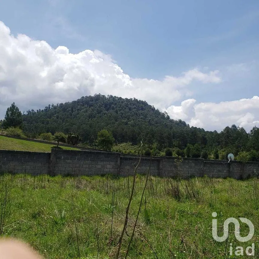 Terreno en Venta en Mesa Rica, Valle de Bravo, Estado De México | NEX-227287 | iad México | Foto 3 de 12