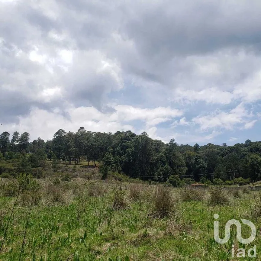 Terreno en Venta en Mesa Rica, Valle de Bravo, Estado De México | NEX-227287 | iad México | Foto 4 de 12