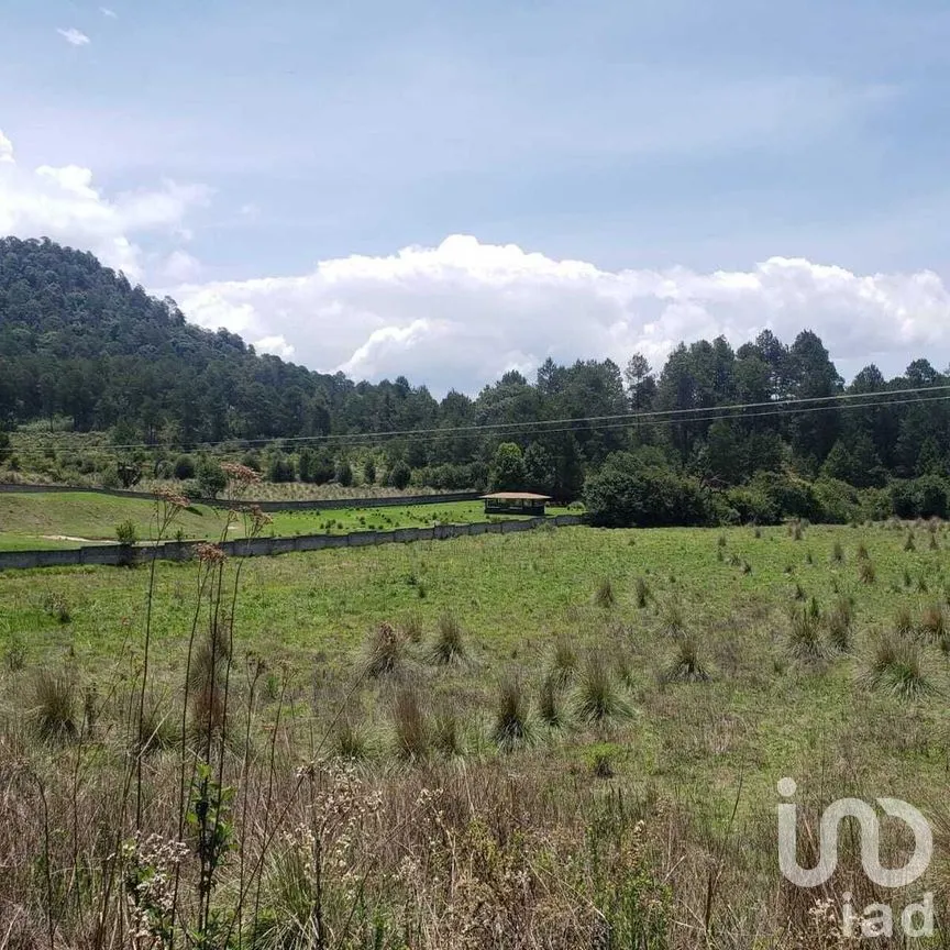 Terreno en Venta en Mesa Rica, Valle de Bravo, Estado De México | NEX-227287 | iad México | Foto 5 de 12