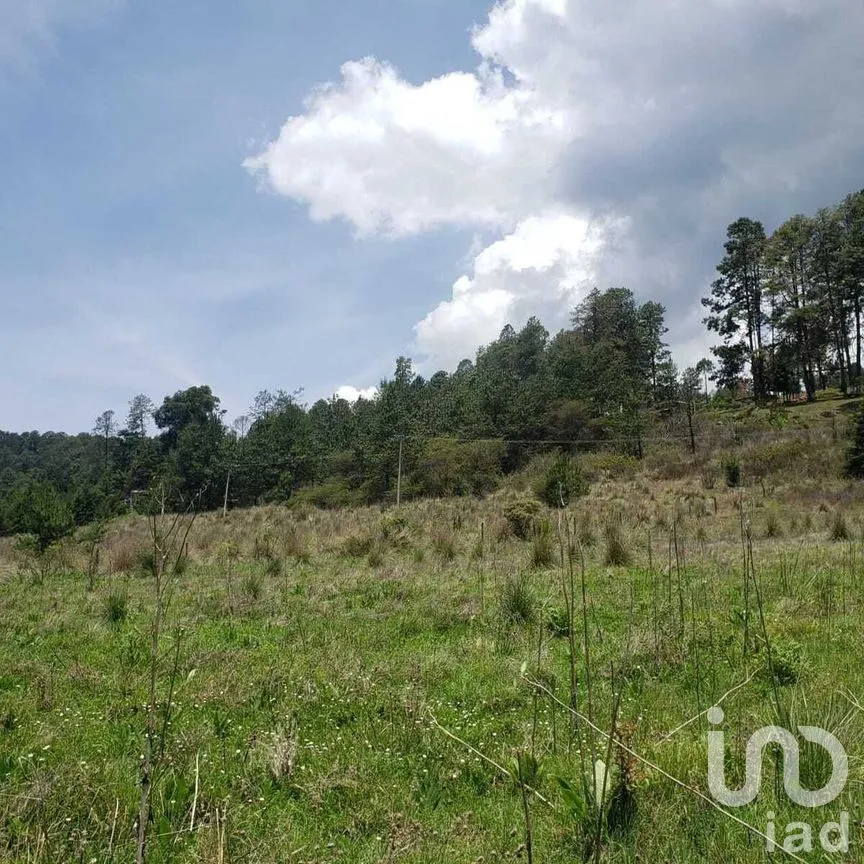 Terreno en Venta en Mesa Rica, Valle de Bravo, Estado De México | NEX-227287 | iad México | Foto 6 de 12