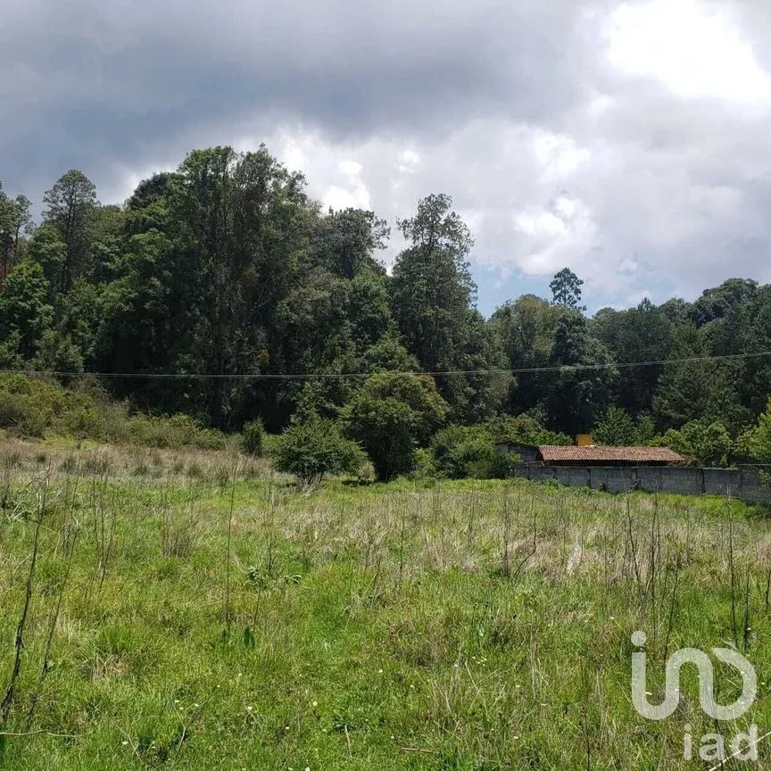 Terreno en Venta en Mesa Rica, Valle de Bravo, Estado De México | NEX-227287 | iad México | Foto 7 de 12