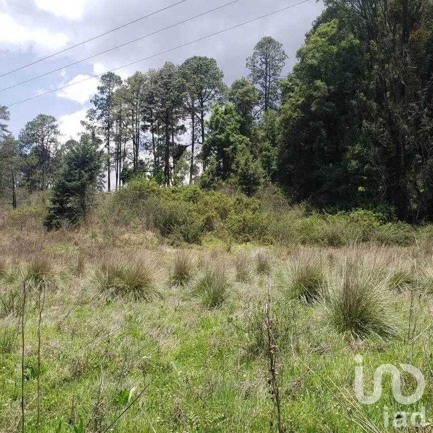 Terreno en Venta en Mesa Rica, Valle de Bravo, Estado De México | NEX-227287 | iad México | Foto 8 de 12