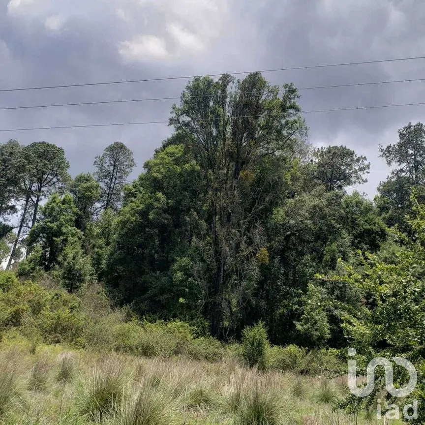 Terreno en Venta en Mesa Rica, Valle de Bravo, Estado De México | NEX-227287 | iad México | Foto 9 de 12