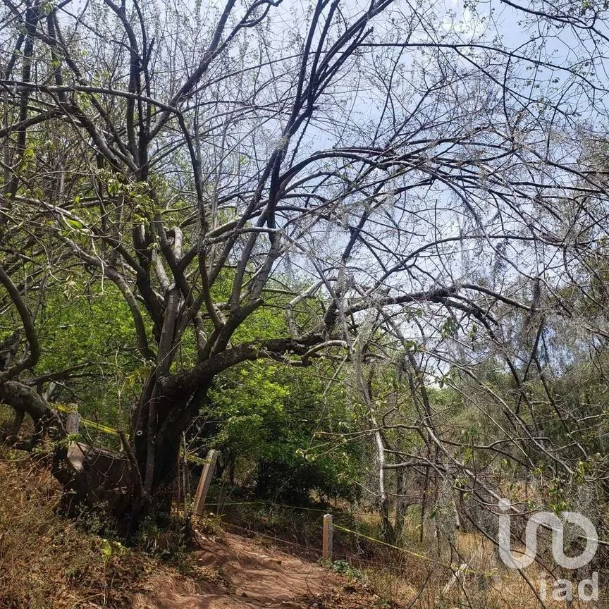 Terreno en Venta en Valle de Bravo, Valle de Bravo, Estado De México | NEX-227288 | iad México | Foto 4 de 9