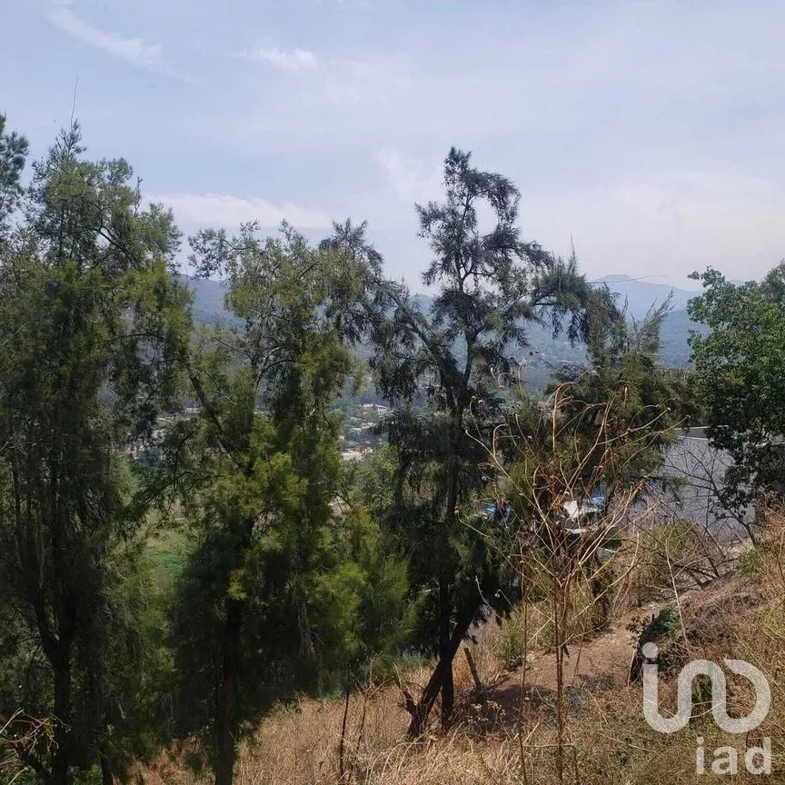 Terreno en Venta en Valle de Bravo, Valle de Bravo, Estado De México | NEX-227288 | iad México | Foto 5 de 9