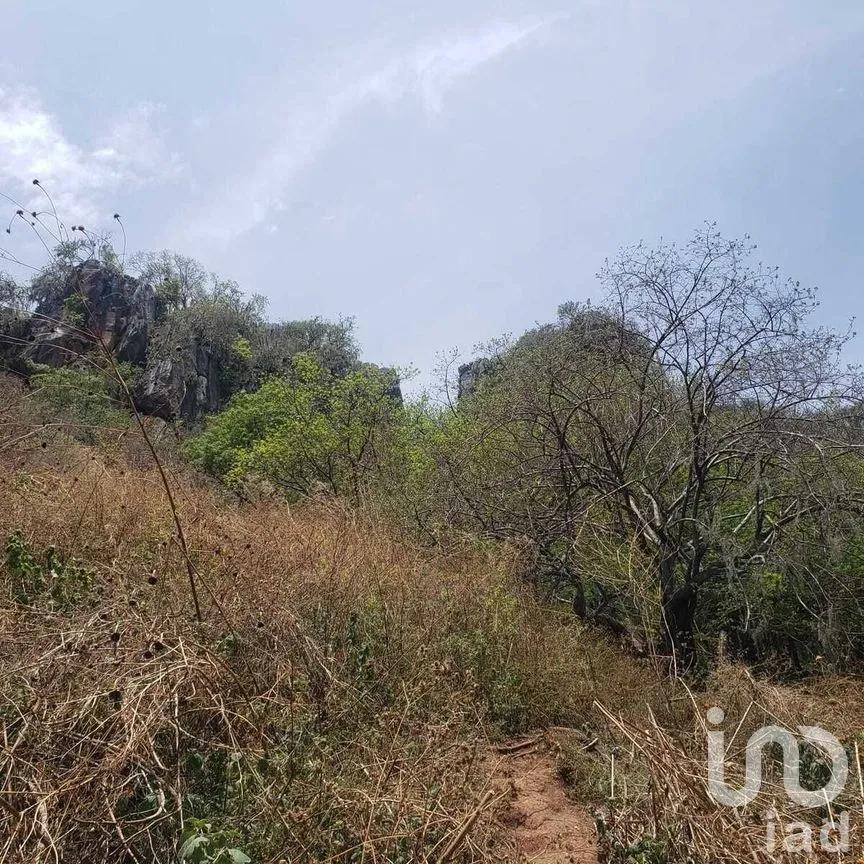 Terreno en Venta en Valle de Bravo, Valle de Bravo, Estado De México | NEX-227288 | iad México | Foto 6 de 9