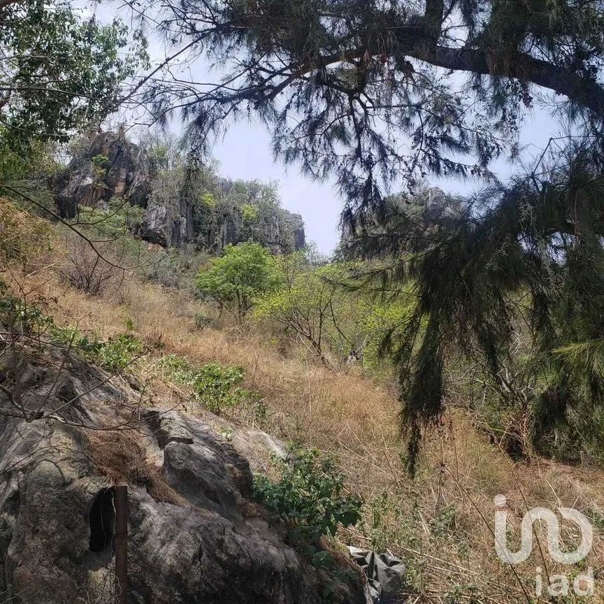 Terreno en Venta en Valle de Bravo, Valle de Bravo, Estado De México | NEX-227288 | iad México | Foto 7 de 9