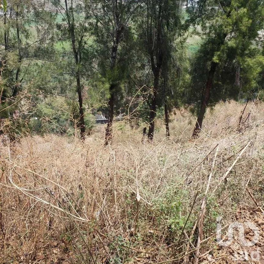 Terreno en Venta en Valle de Bravo, Valle de Bravo, Estado De México | NEX-227288 | iad México | Foto 8 de 9