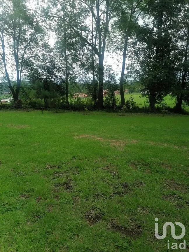 Terreno en Venta en Cerro Gordo, Valle de Bravo, Estado De México | NEX-227290 | iad México | Foto 2 de 10