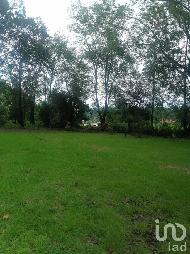 Terreno en Venta en Cerro Gordo, Valle de Bravo, Estado De México | NEX-227290 | iad México | Foto 3 de 10