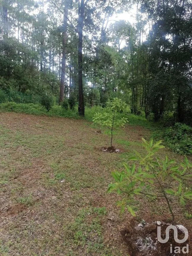 Terreno en Venta en Cerro Gordo, Valle de Bravo, Estado De México | NEX-227290 | iad México | Foto 5 de 10