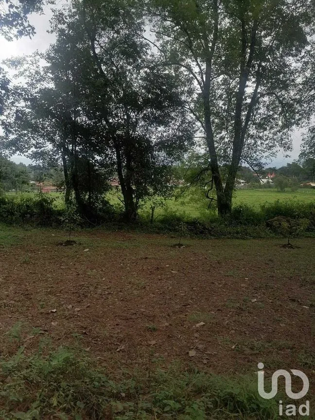 Terreno en Venta en Cerro Gordo, Valle de Bravo, Estado De México | NEX-227290 | iad México | Foto 8 de 10