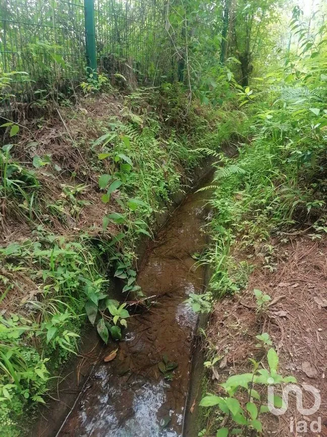 Terreno en Venta en Cerro Gordo, Valle de Bravo, Estado De México | NEX-227290 | iad México | Foto 10 de 10
