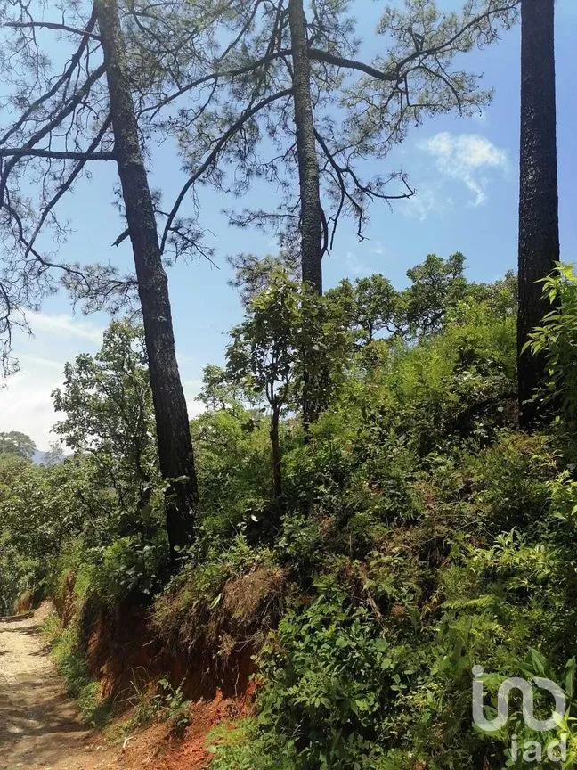 Terreno en Venta en San Gaspar, Valle de Bravo, Estado De México | NEX-227291 | iad México | Foto 3 de 10