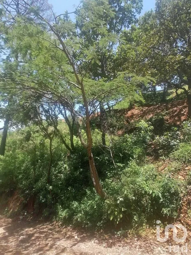 Terreno en Venta en San Gaspar, Valle de Bravo, Estado De México | NEX-227291 | iad México | Foto 4 de 10