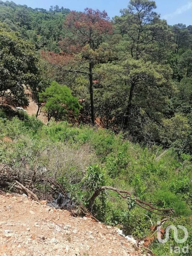 Terreno en Venta en San Gaspar, Valle de Bravo, Estado De México | NEX-227291 | iad México | Foto 5 de 10