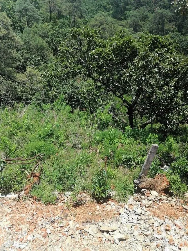 Terreno en Venta en San Gaspar, Valle de Bravo, Estado De México | NEX-227291 | iad México | Foto 7 de 10