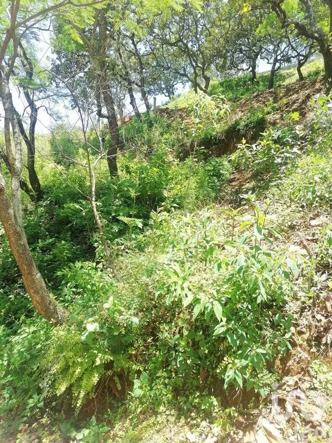 Terreno en Venta en San Gaspar, Valle de Bravo, Estado De México | NEX-227291 | iad México | Foto 8 de 10