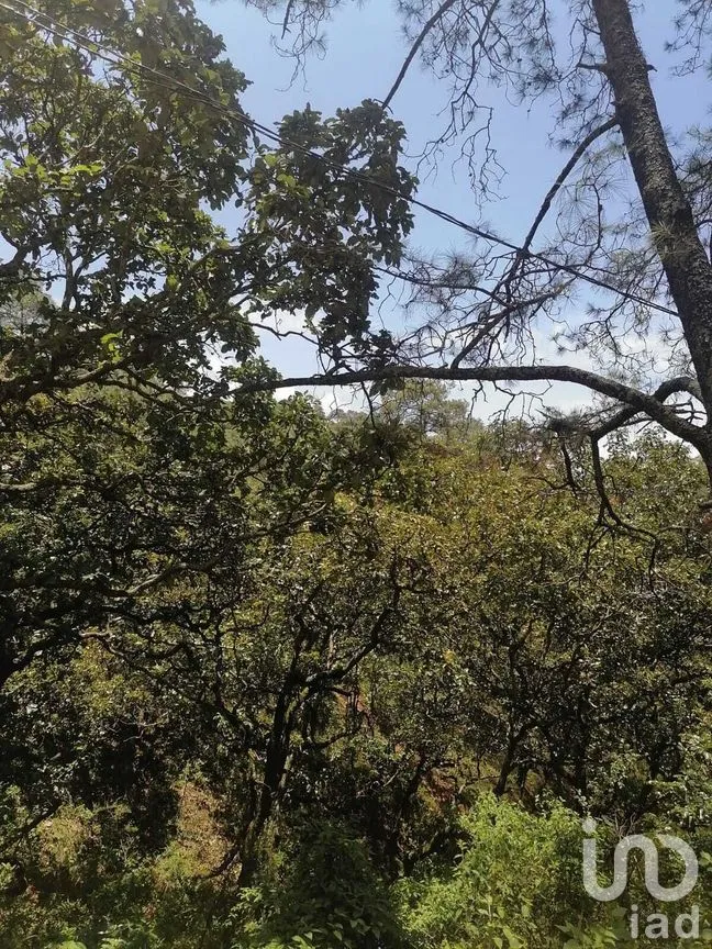 Terreno en Venta en San Gaspar, Valle de Bravo, Estado De México | NEX-227291 | iad México | Foto 9 de 10