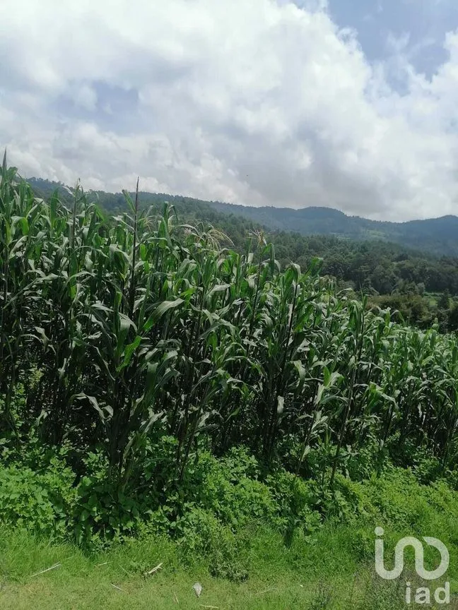 Terreno en Venta en San Bartolo, Amanalco, Estado De México | NEX-227292 | iad México | Foto 2 de 10