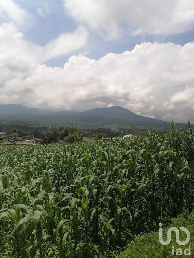 Terreno en Venta en San Bartolo, Amanalco, Estado De México | NEX-227292 | iad México | Foto 4 de 10