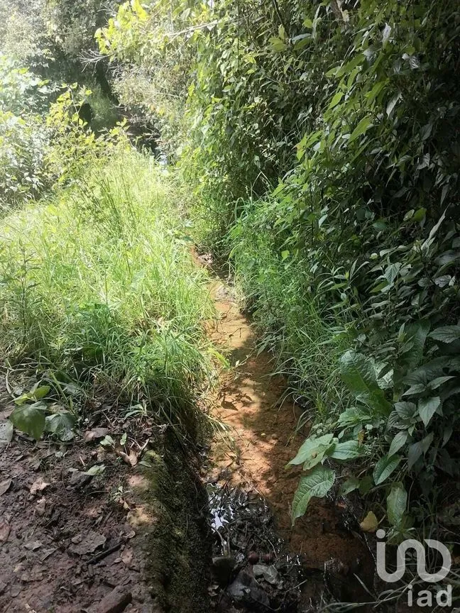 Terreno en Venta en San Bartolo, Amanalco, Estado De México | NEX-227292 | iad México | Foto 6 de 10